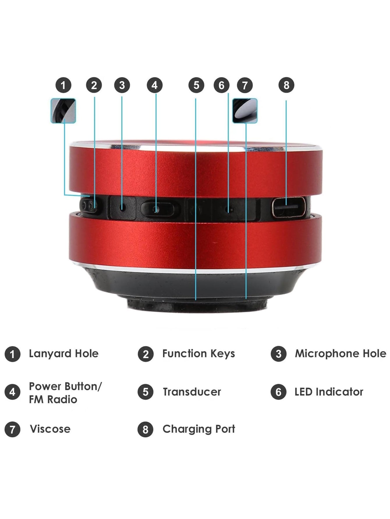 OmniVibe Bone Conduction Speaker